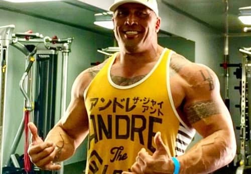 Tanoai Reed Net Worth 2025: The Rock's Cousin's Path to $1.55 Million